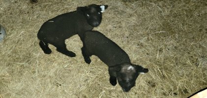 20230511_201020.jpg 20230511_201020.jpg