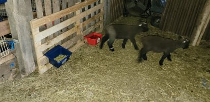 20230511_201015.jpg 20230511_201015.jpg