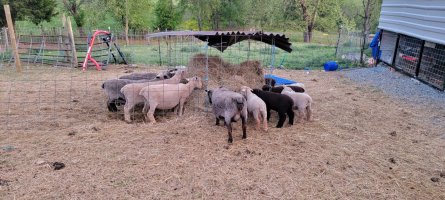 20230511_201554.jpg 20230511_201554.jpg