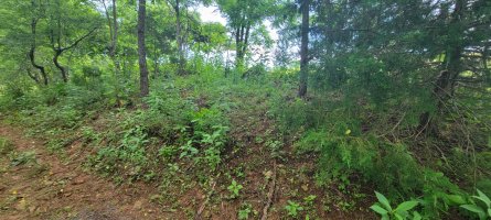 20230625_162121.jpg 20230625_162121.jpg