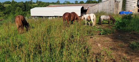 Screenshot_20230720_094329_Video Player.jpg Screenshot_20230720_094329_Video Player.jpg