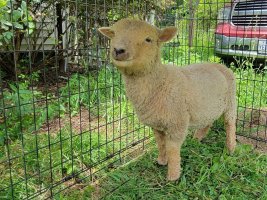 20230723_135715.jpg 20230723_135715.jpg