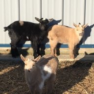 Farmin4Jesus