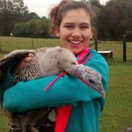 4h livestock shower