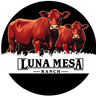 Luna Mesa