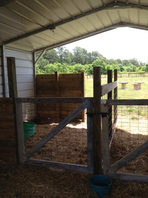 Goat barn from carport | BackYardHerds - Goats, Horses, Sheep, Pigs & more