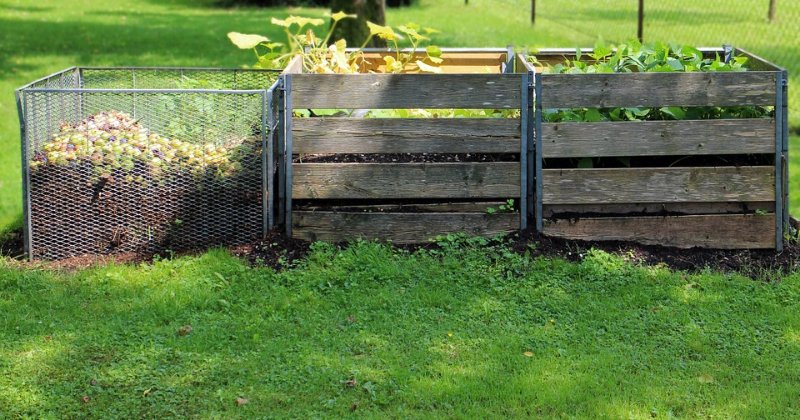 Best Composting Tips