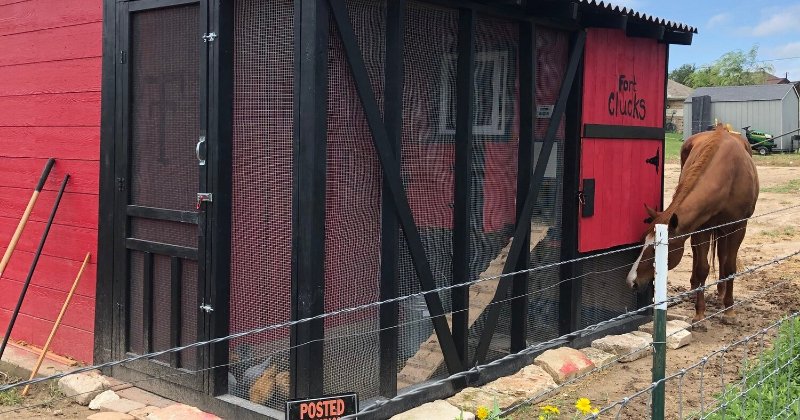 Fort Clucks - A Secure Run & Coop for Six Chickens