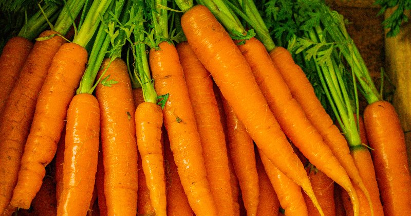 Dehydrating Carrots