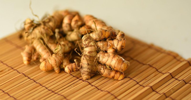 Growing Turmeric in Your Garden