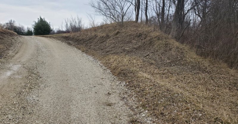 Thoughts on planting on driveway cut?