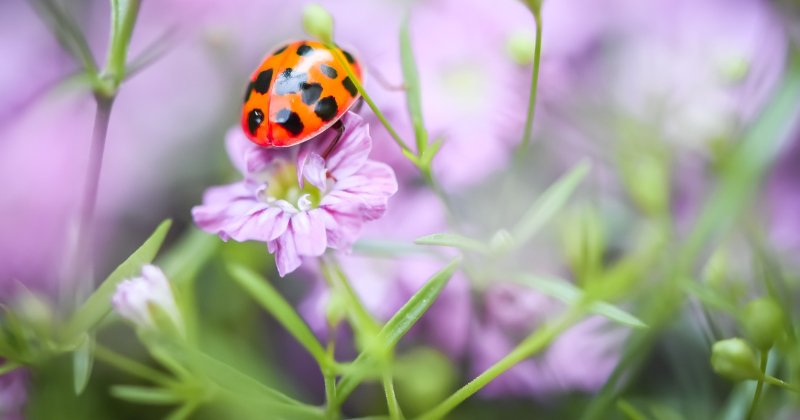 What Unexpected Garden Guest Surprised You This Week? 🌿
