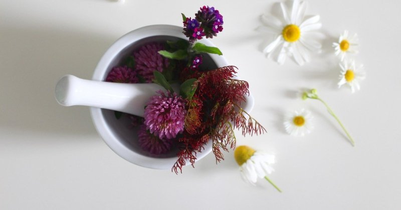 Natural Remedies: What’s Your Go-To Cure?