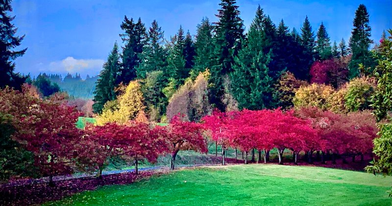 POW: Autumn landscape in the Pacific Northwest from Shades-of-Oregon